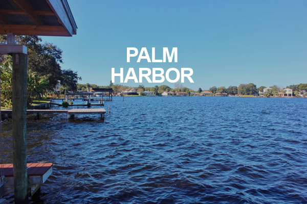 Palm Harbor FL Real Estate - Homes For Sale Palm Harbor FL