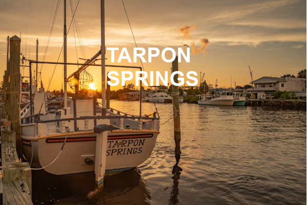 Tarpon Springs FL Real Estate - Homes For Sale